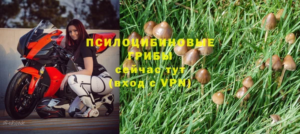 мдма Краснотурьинск